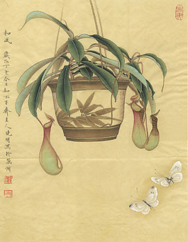 和風