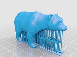 熊与支持