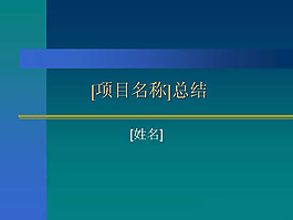 項(xiàng)目總結(jié)報(bào)告