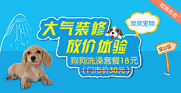 宠物banner