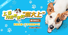 宠物banner