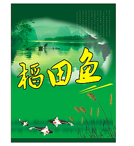 稻田魚海報