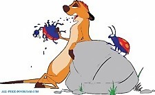 獅子王timon003