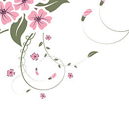 粉花花朵