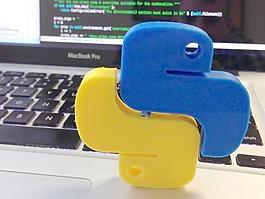 Python的標志（半）