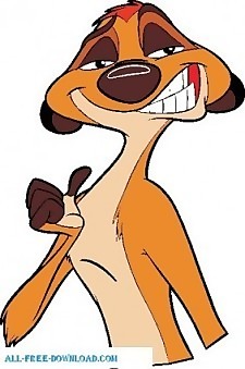 獅子王timon011