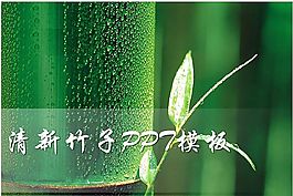竹子