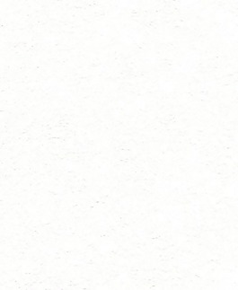 常用的壁紙貼圖壁紙 270