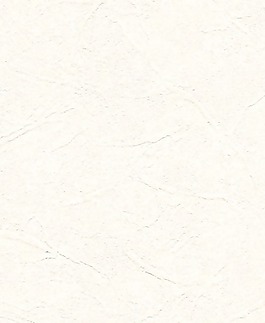 常用的壁紙貼圖壁紙 845
