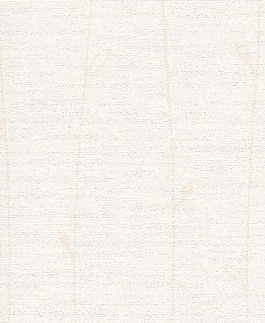 常用的壁紙貼圖壁紙背景素材 1032