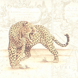 藝術(shù)壁紙貼圖3d貼圖 65
