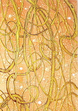藝術(shù)壁紙貼圖3d貼圖 118