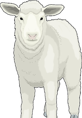 動物的剪輯藝術
