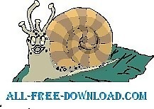 蝸牛21
