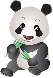 熊貓1