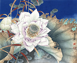 千瓣莲