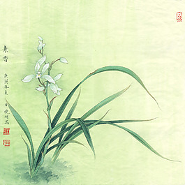 蘭花小品