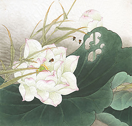 曉波圖