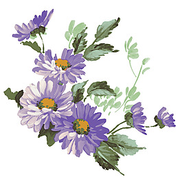 紫色花紋