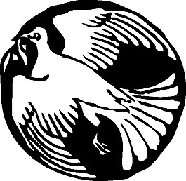 循環(huán)剪輯藝術(shù)的鴿子