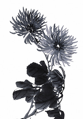 菊花藝術(shù)
