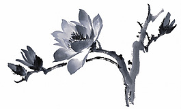 水墨花開