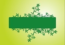 花框