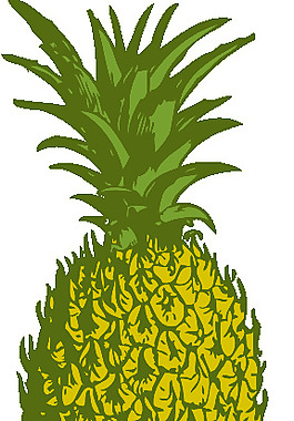菠萝剪贴画
