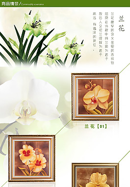 简欧兰花油画详情