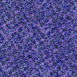 地毯貼圖織物3d貼圖素材 24