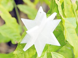2個(gè)參數(shù)的明星