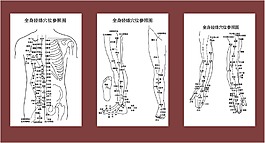人物穴位圖