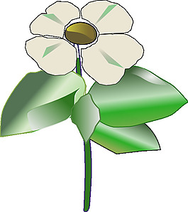 太平洋山茱萸山茱萸藻剪貼畫