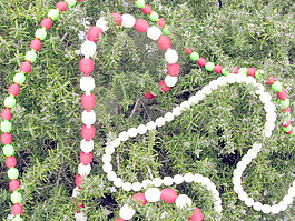 圣誕花環(huán)