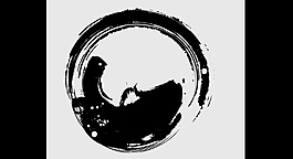 圆形笔触视频展示特效