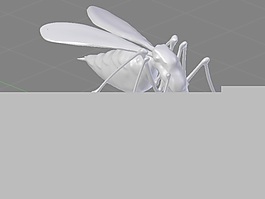 蚊子