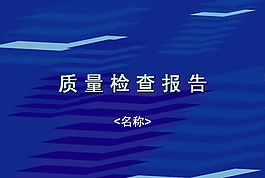 質(zhì)量報告PPT