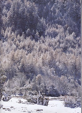 雪景素材