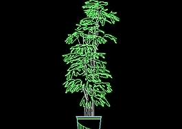 植物、盆景、花卉CAD飾物陳設(shè)圖紙素材23