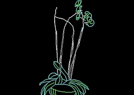 植物、盆景、花卉CAD飾物陳設(shè)圖紙素材6