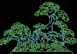 植物、盆景、花卉CAD飾物陳設(shè)圖紙素材29