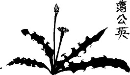 書法藝術(shù)蒲公英夾