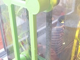 在水族過(guò)濾吸盤置換