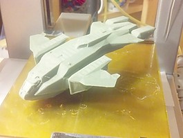 鹈鹕从晕