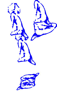 胸部藝術(shù)剪輯藝術(shù)
