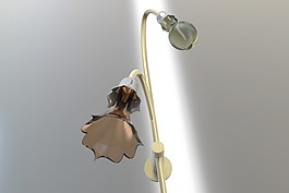 光