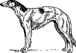 獵狼的剪輯藝術(shù)