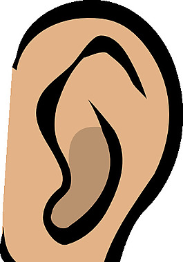 earbody部分剪貼畫(huà)