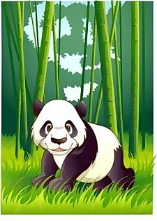 熊貓3