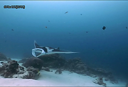海底潛水